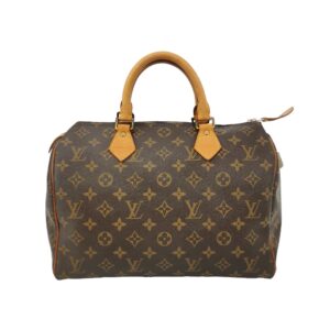 Louis Vuitton Speedy 30 Monogram