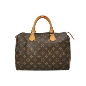Louis Vuitton Speedy 30 Monogram